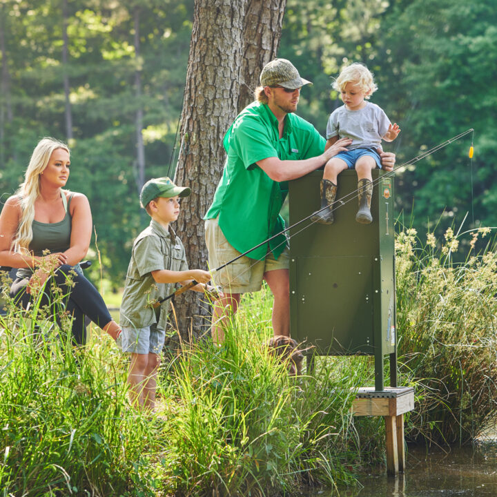grow bigger fish fast fish feeder fish feed fish food fish feeder for pond fish feeder near me texas hunter fish feeder how to grow bigger fish in pond