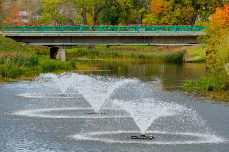 Pond & Lake Fountains 2 city 2025 03 17 20 02 02 utc 1