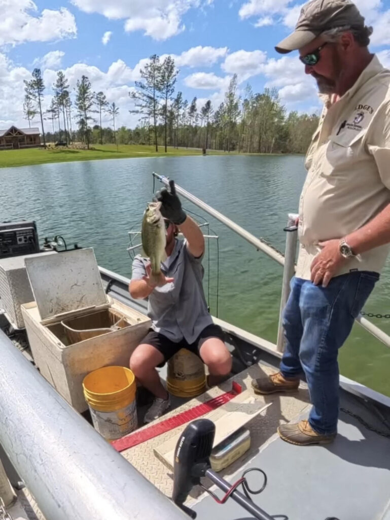 Oxbow Bass Shocking Results – From Fingerlings to Over 1 Foot Long in Just 9 Months!