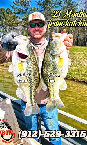 Ethan edge holding two trophy bass edge's oxbow bass 23 months from hatching